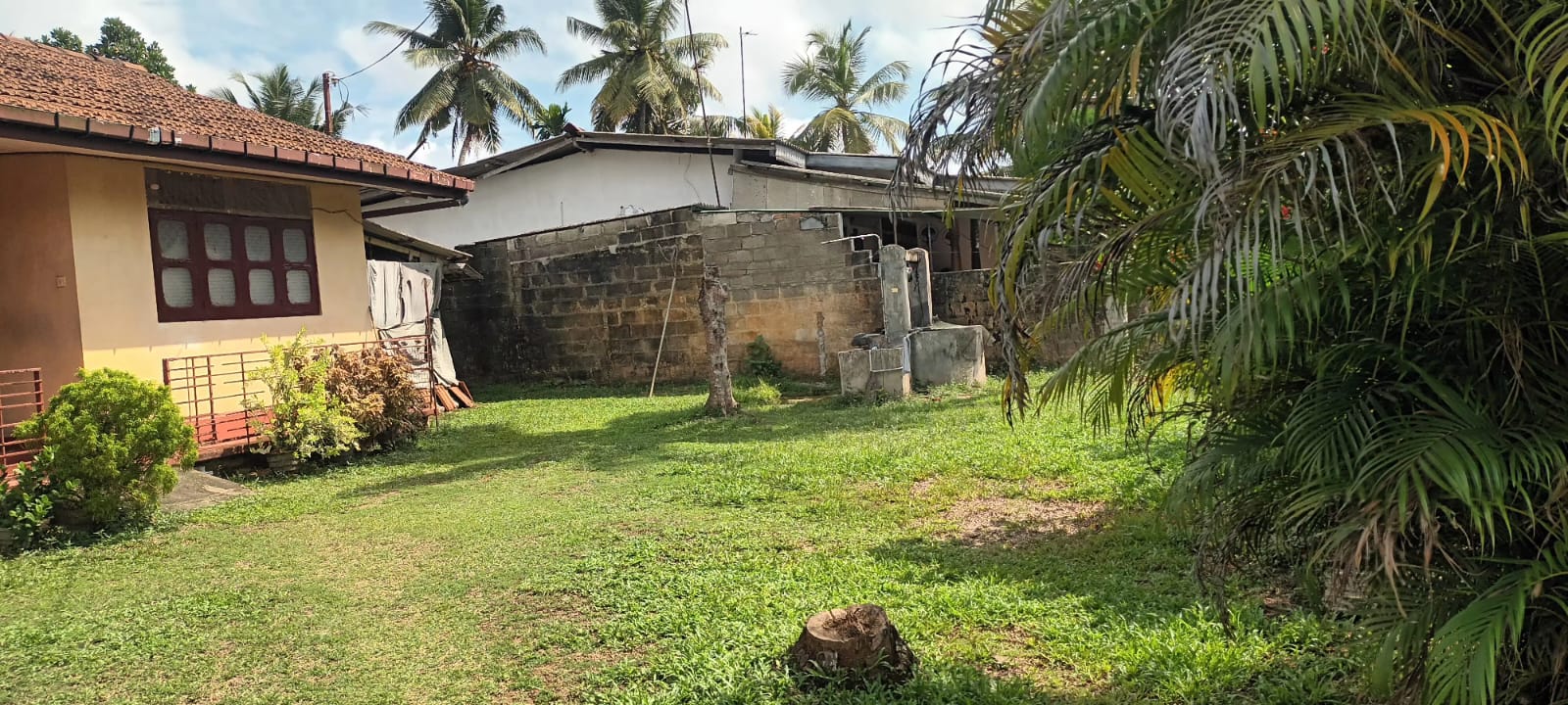 IMG-20260523-WA0006