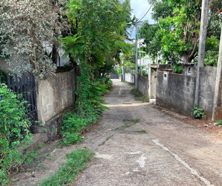 Untitled design (2)