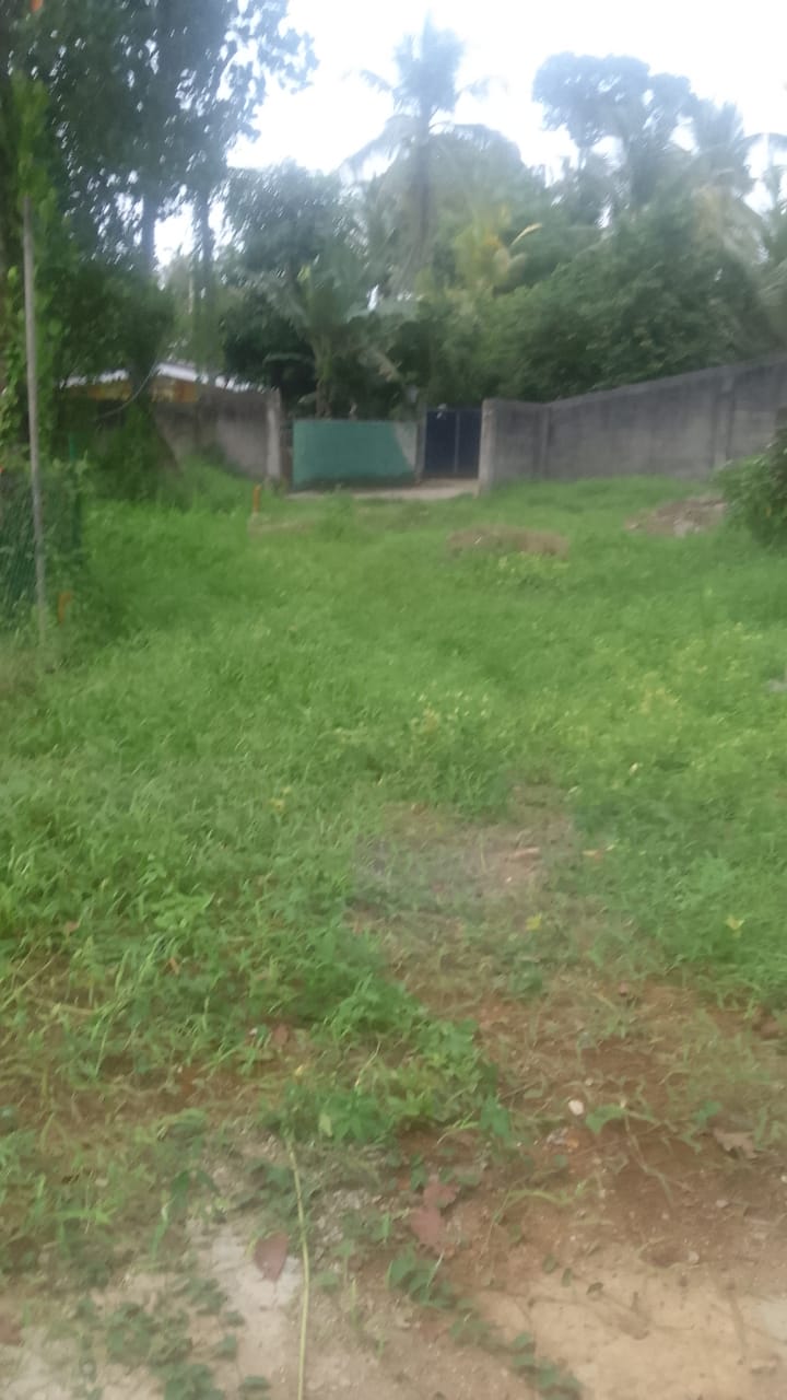 IMG-20260602-WA0025
