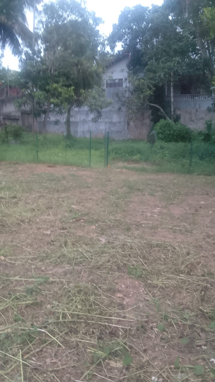 IMG-20260602-WA0028